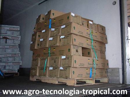 El comercio internacional exige aduanas eficientes Transporte aereo nacional e internacional  para la agricultura